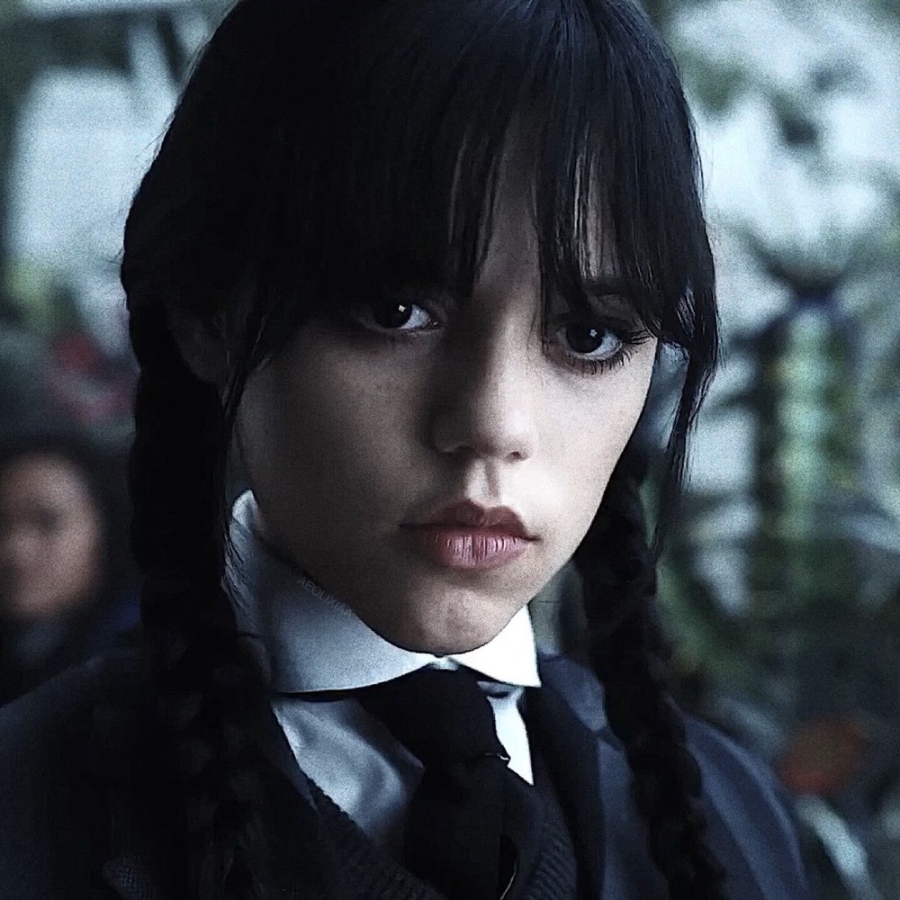 WEDNESDAY ADDAMS GOTH MYSTERY BOXES